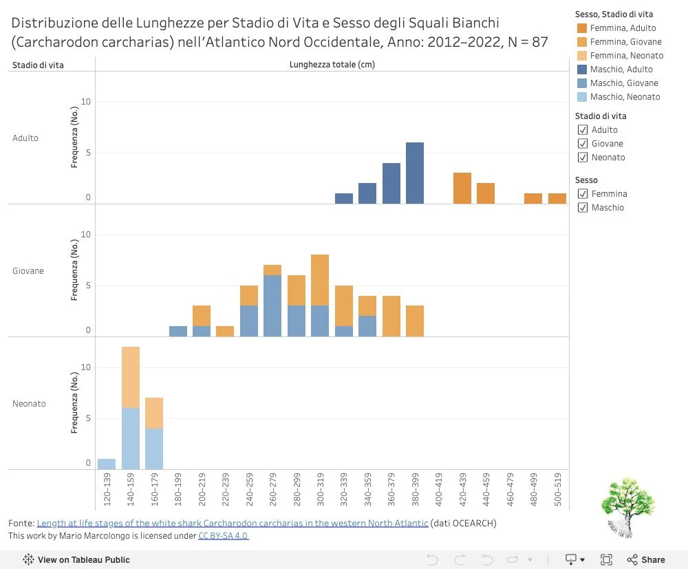 White-shark size distributions