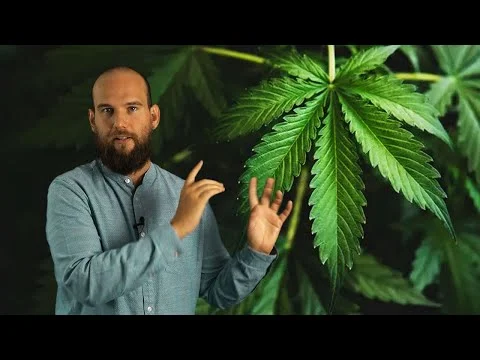 Published video thumbnail: La Scienza della Cannabis: Origine e Utilizzi
