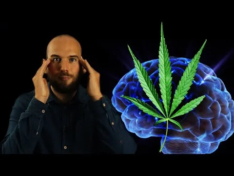 Published video thumbnail: Why does cannabis affect us?