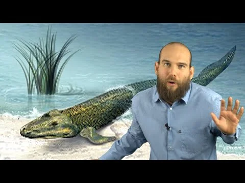 Published video thumbnail: How many times have animals conquered the Earth?