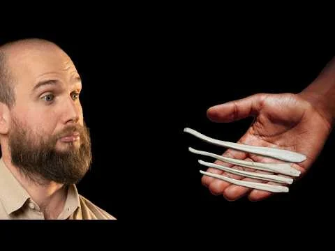 Published video thumbnail: Why did we lose the penis bone?
