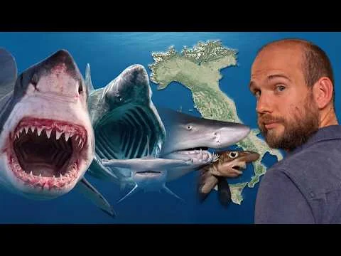 Published video thumbnail: ALL the sharks in the Italian seas