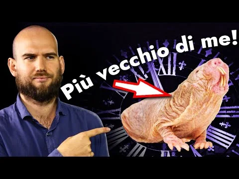 Published video thumbnail: Is the Secret to Aging in This Animal?