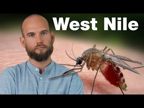 Published video thumbnail: West Nile virus in Italy: What you need to know
