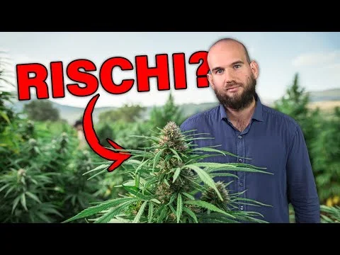 Published video thumbnail: I Rischi della Cannabis