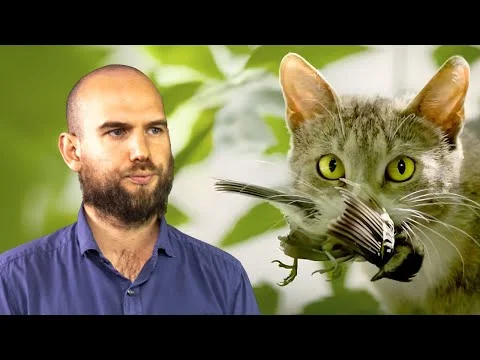 Published video thumbnail: The Devastating Ecological Impact of Cats