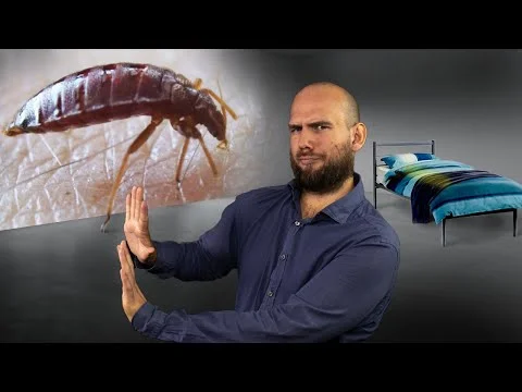 Published video thumbnail: Bed Bugs: How to Prevent, Find, and Fight Them