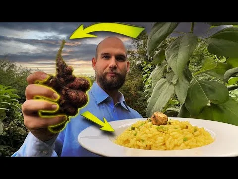Published video thumbnail: The Science of Jerusalem Artichoke: From Field to Plate