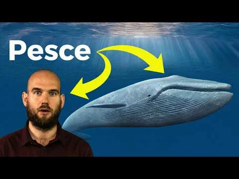 Published video thumbnail: Whales Are Fish. Here's Why